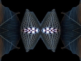 Dezyderata IX 